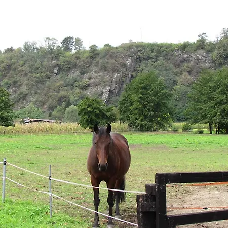 Borgo Erbiola Farm stay Colico