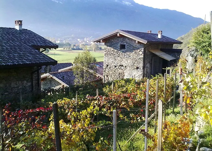 Κατάλυμα σε φάρμα Borgo Erbiola