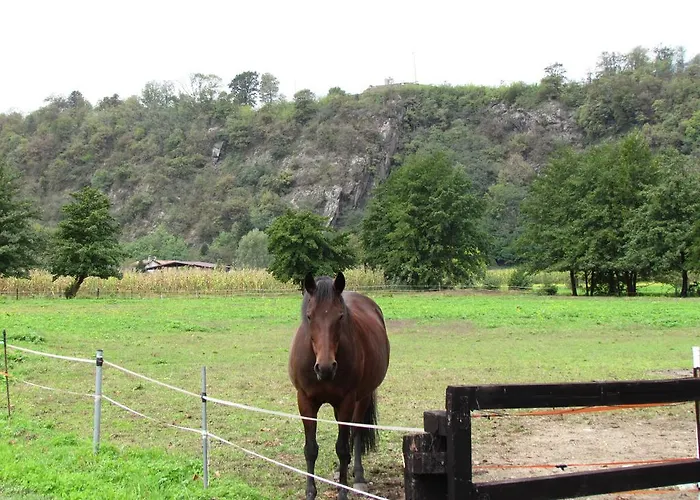 Borgo Erbiola Farma Colico